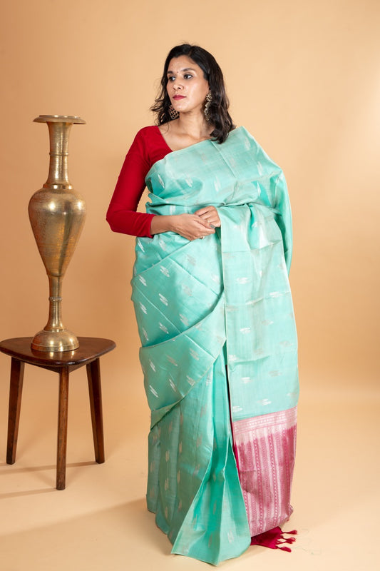 Pastel green borderless silk saree