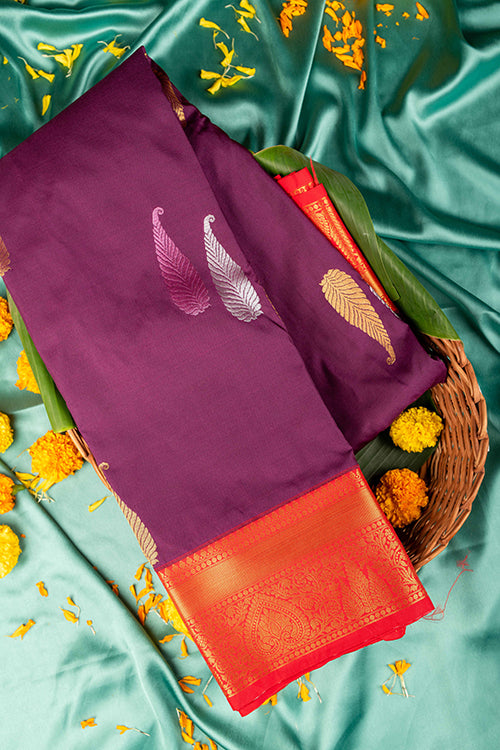 Jamun purple semi soft silk saree