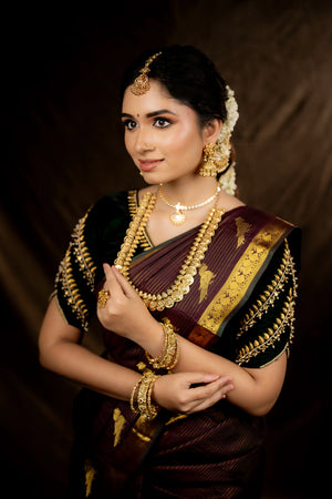 Brown Silk Saree