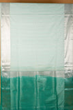 Pastel green and green semi soft silk saree