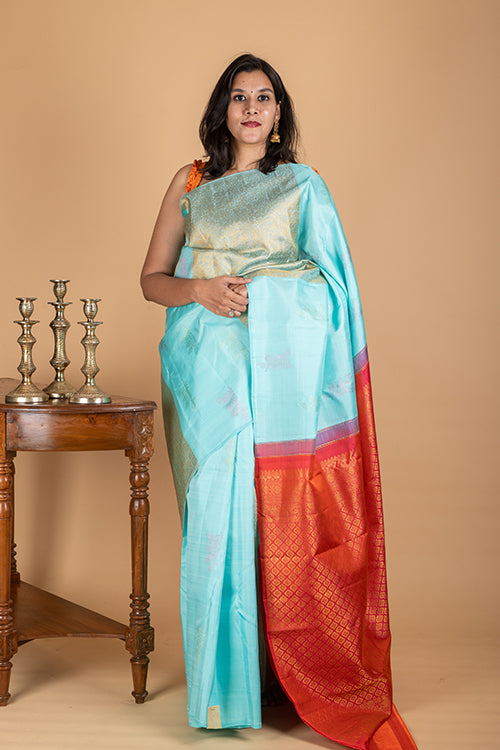 Blue & Coral Borderless Kanchipuram Silk Saree
