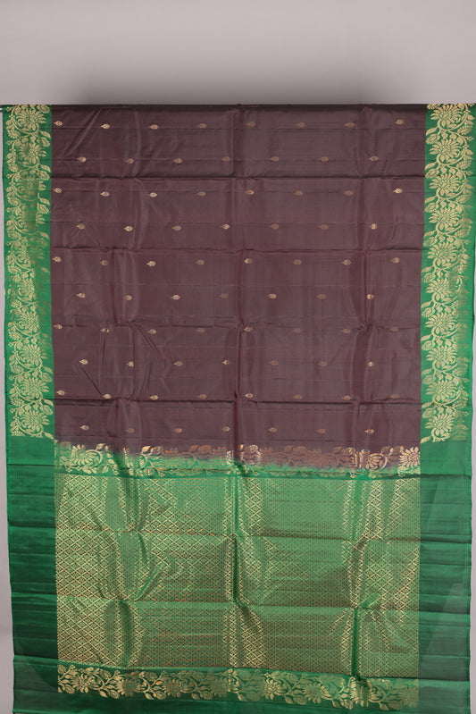 Coffee brown pattu saree