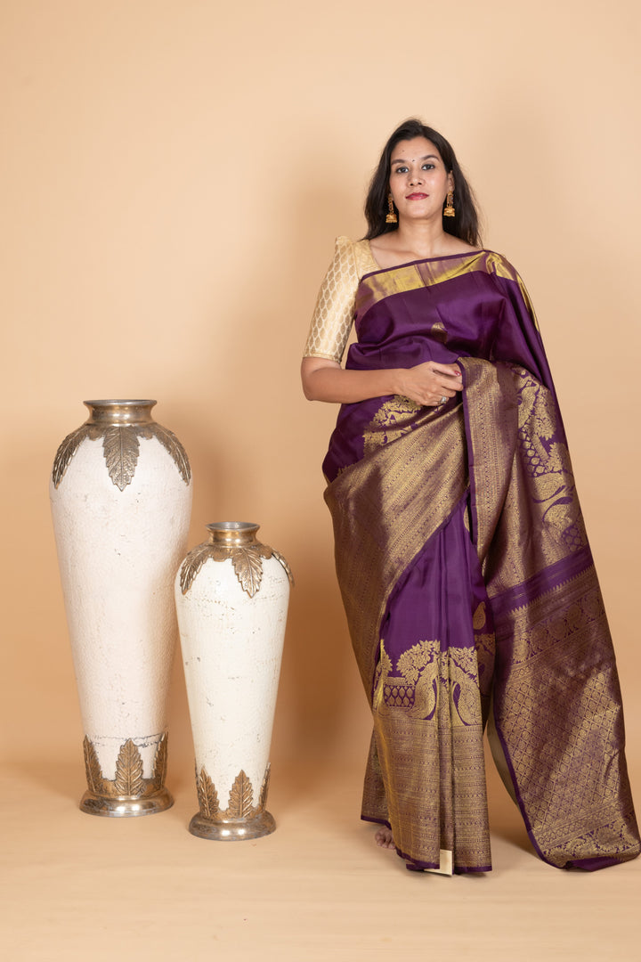 Eggplant Purple and Pastel Green Kanjivaram Pattu Saree