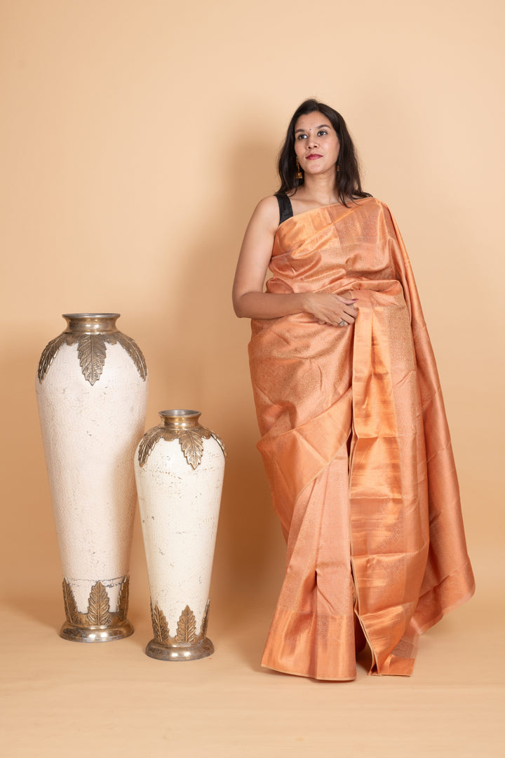 Champagne pure silk saree