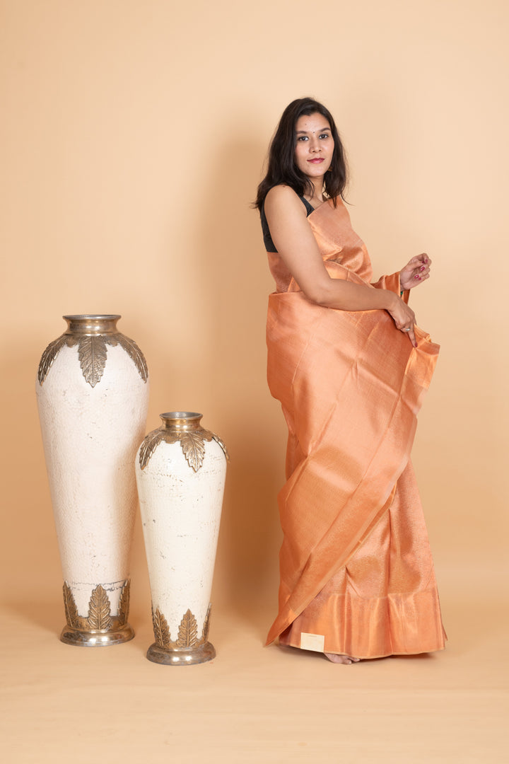 Champagne pure silk saree