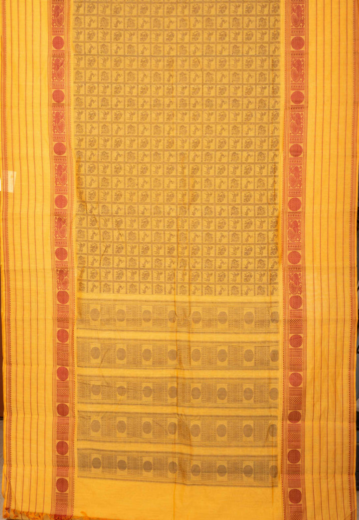 Beige Checks Pure Kanchi Cotton Saree