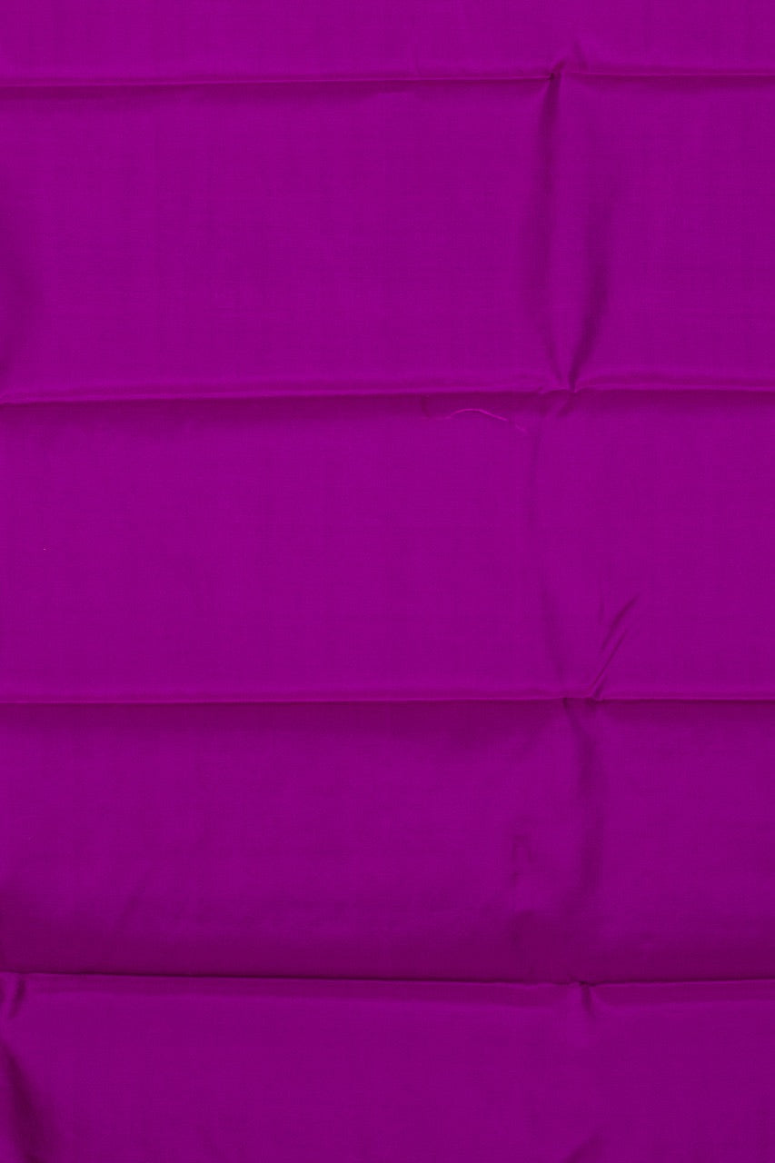 Green Borderless Pure Touch Silk Saree