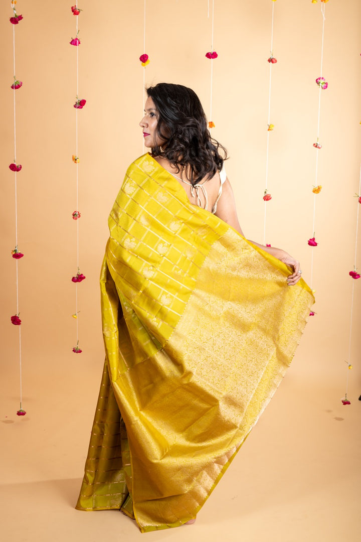 Sampanga green borderless pure silk saree