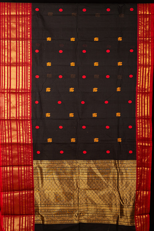 Black Kanchi Cotton Saree