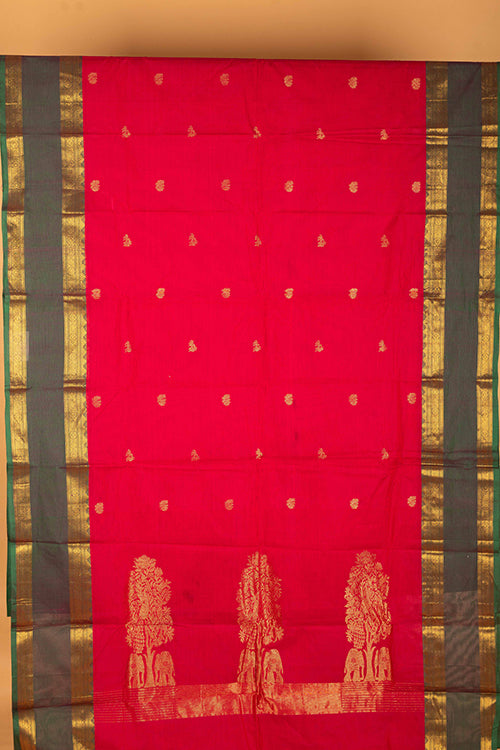 Magenta Pink Kanchi Cotton Saree
