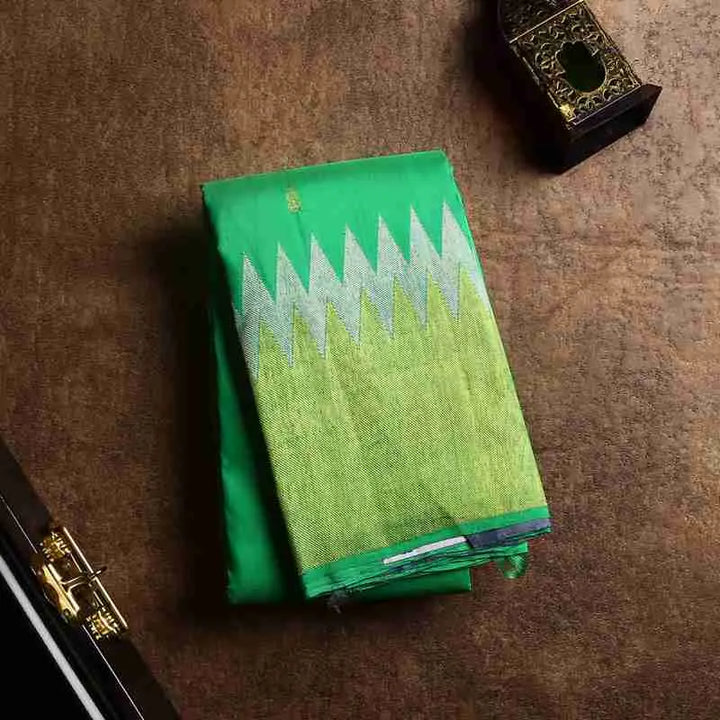 Light green saree with golden border