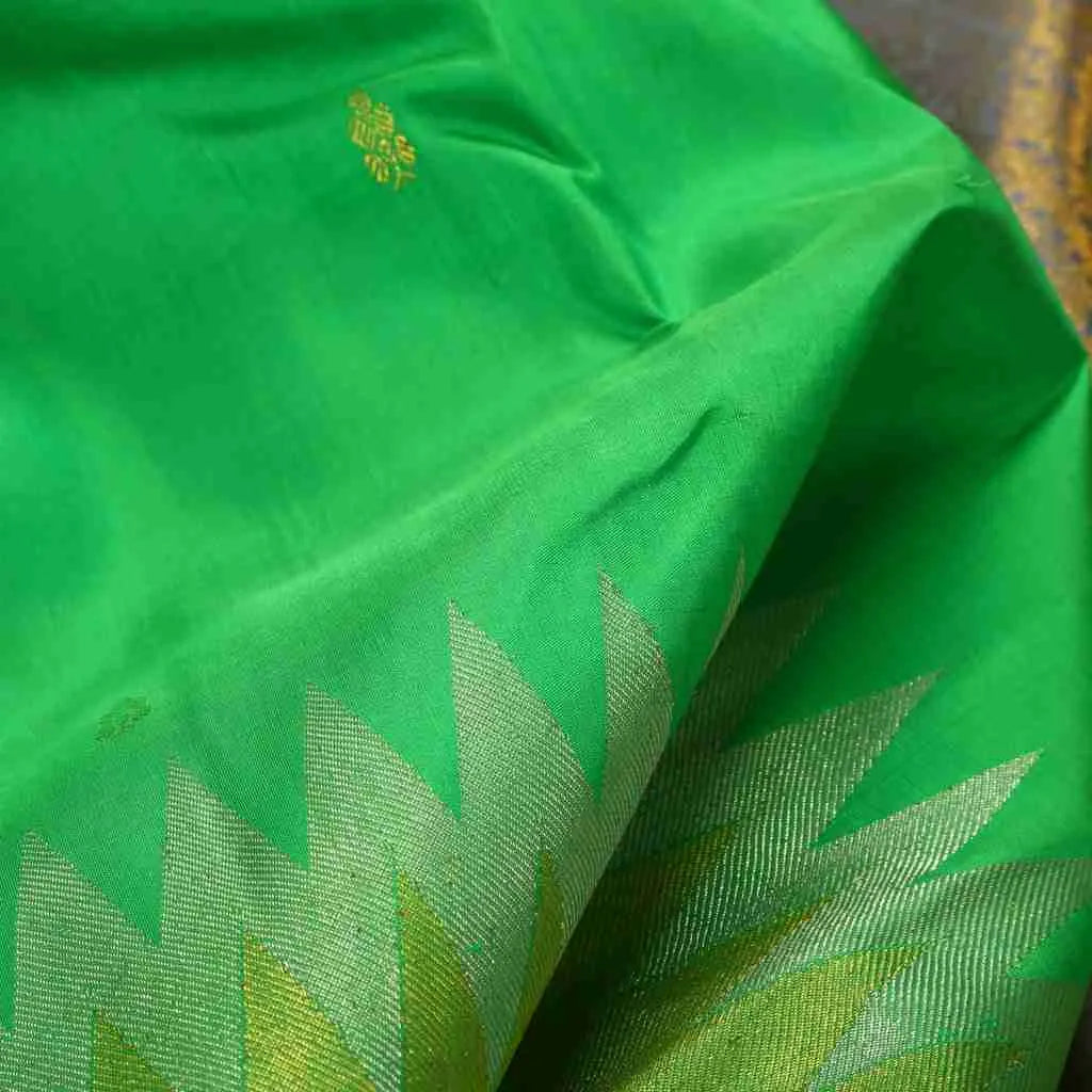Light green saree with golden border