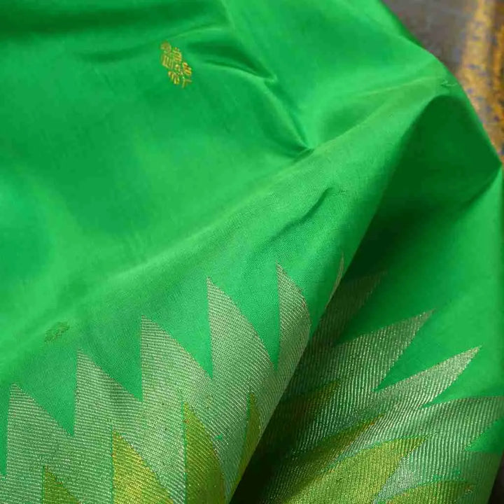 Light green saree with golden border