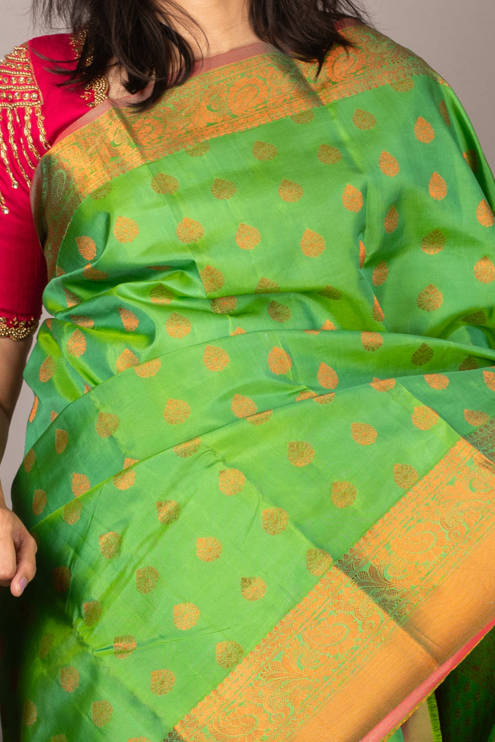 pastel green silk saree