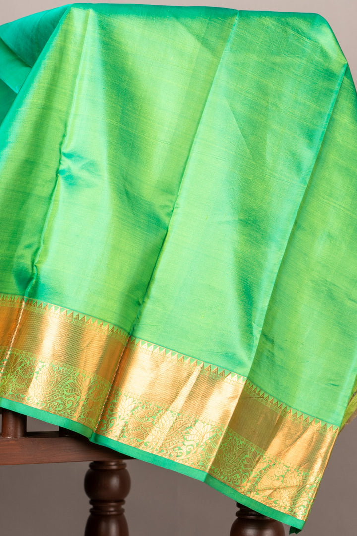 Pastel sage green silk saree