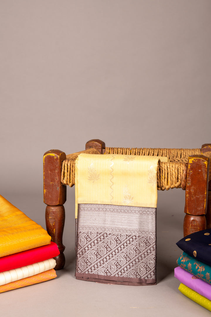 Offwhite and chocolate pure touch silk saree