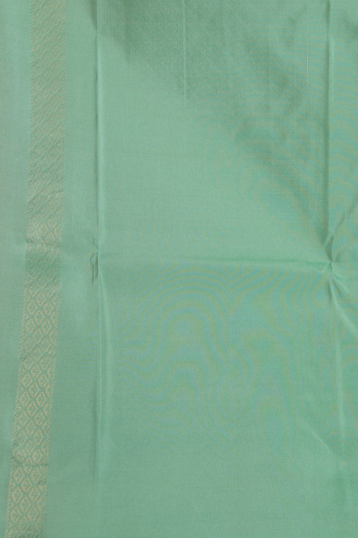 Mint Green Borderless Pure Touch silk saree