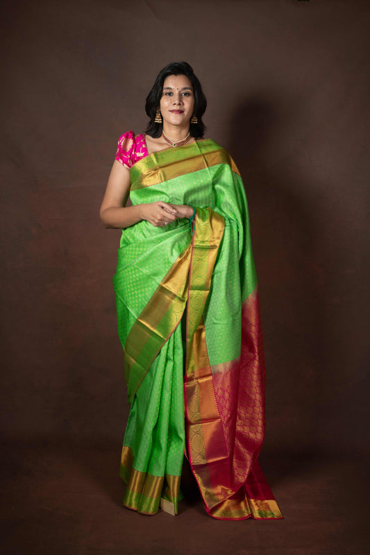 Green and multicolour border pure silk saree