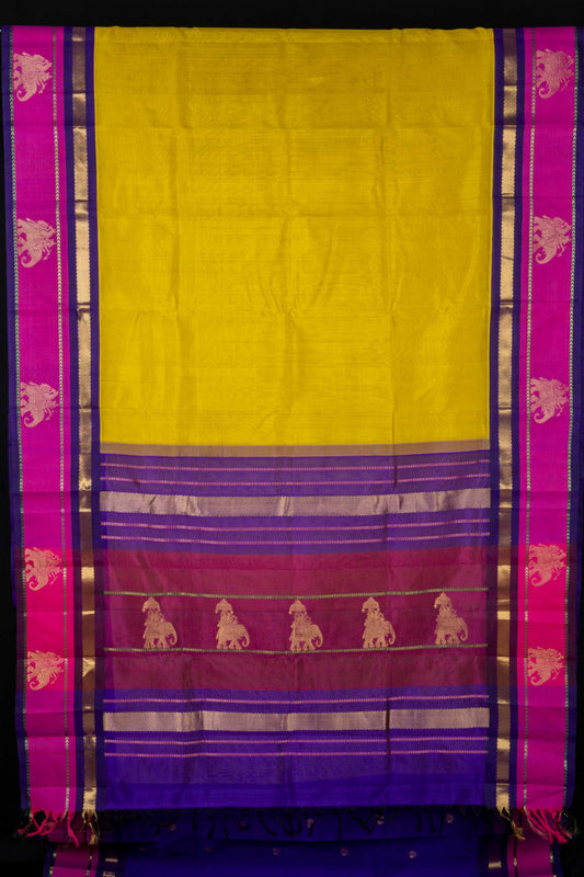 Lime green and purple silk cotton saree